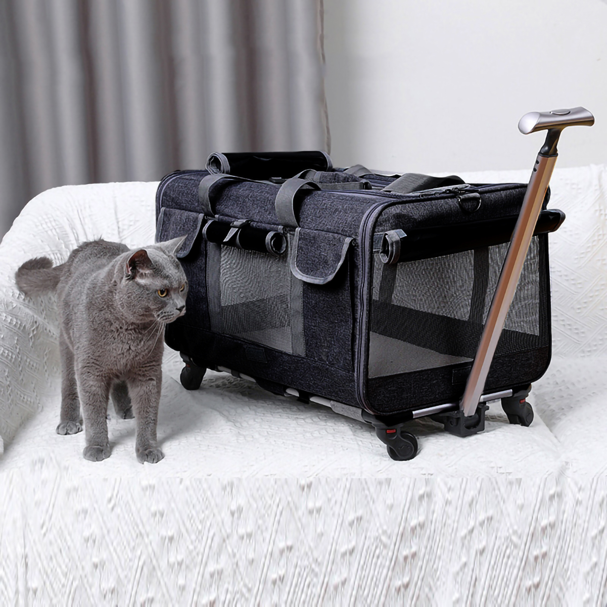 Túi kéo đựng thú cưng đi du lịch có bánh xe gấp gọn tiện dụng, tay kéo nâng hạ độ cao kèm thảm lót